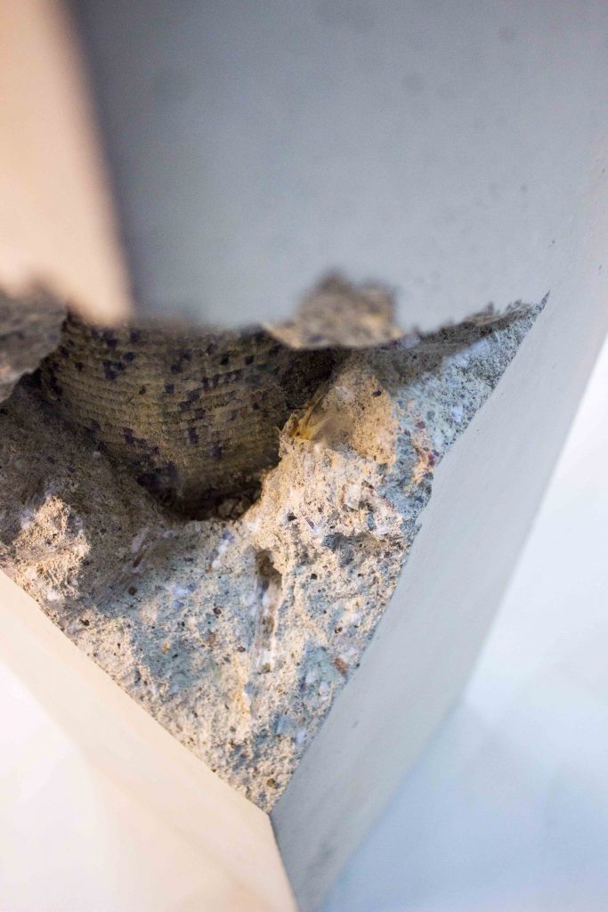 I am In The Settlements II, Detail